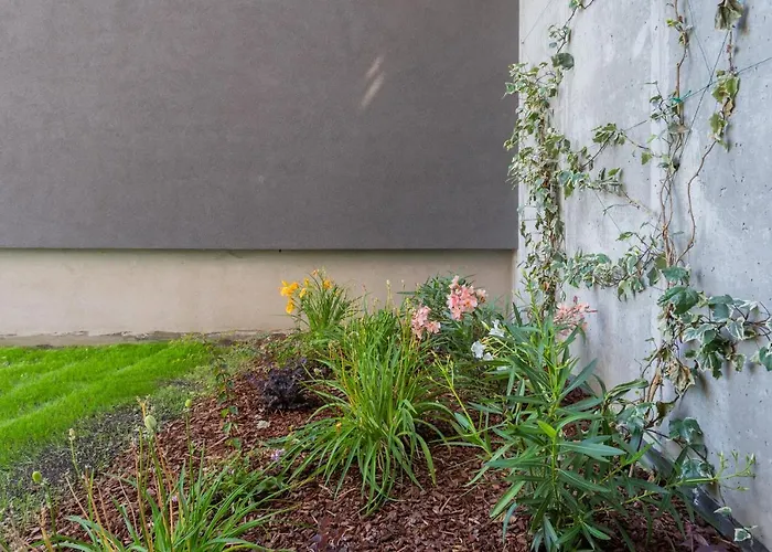 Anna's Quite & Charme * Pianello Del Lario