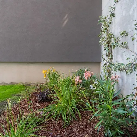 Anna's Quite & Charme * Pianello Del Lario